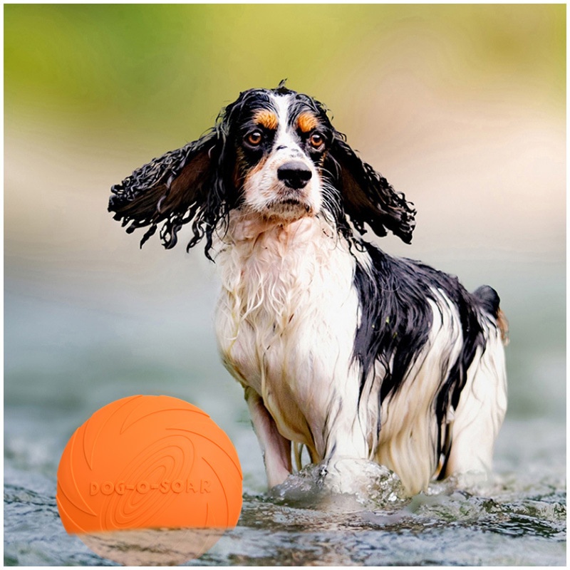 강아지와 고양이를 위한 상호작용형 실리콘 플라잉 소서  - Flying Disc Dog Training Toy 리뷰 및 가격