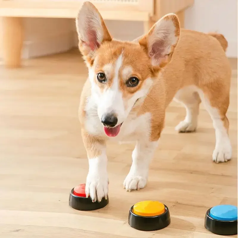 애완 동물 사운드 박스 녹음 가능한 말하기 버튼 고양이 - Interactive Squeaky Plush Dog Toy 리뷰 및 가격