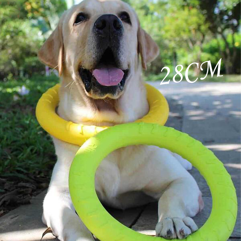 강아지 장난감 애완견 플라잉 디스크 EVA 강아지 훈련 - Flying Disc Dog Training Toy 리뷰 및 가격